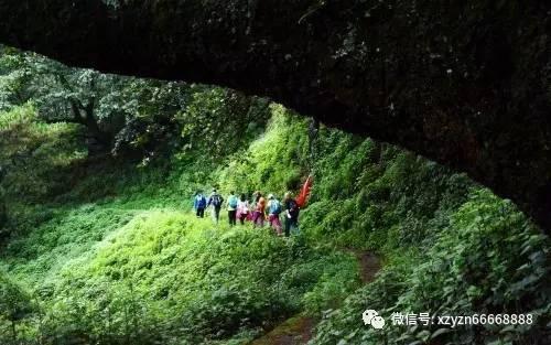 健全什么加强绩效管理突出激励约束游戏画面